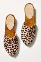 Bird Of Flight Bird Of Flight Leopard Clogs