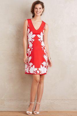Yoana Baraschi Petaluma Dress