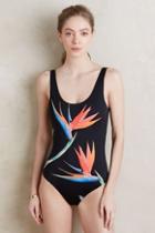 Onia Kelly Maillot Black Motif Xl Swimwear