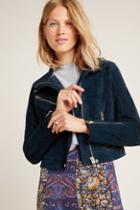 Blanknyc Margaux Cropped Suede Moto Jacket