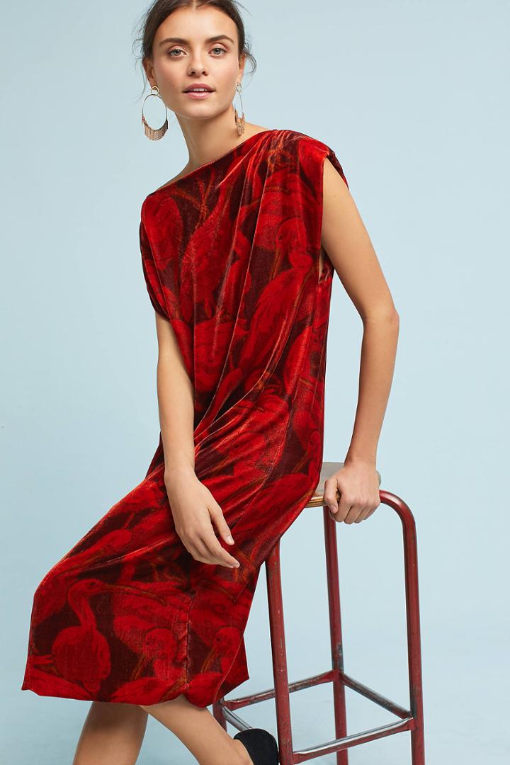 Whit Velvet Bird Dress