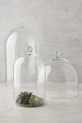 Anthropologie Glass Display Cloche