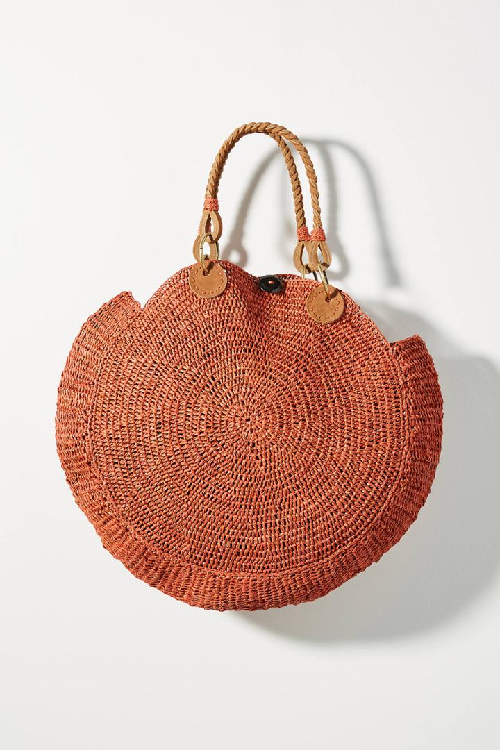 Anthropologie Nove