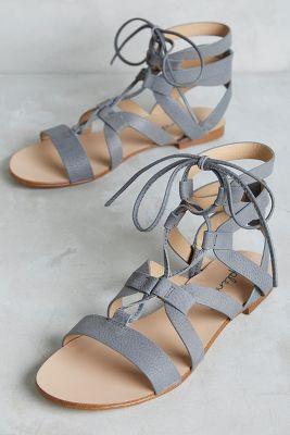 Splendid Cameron Gladiators Blue