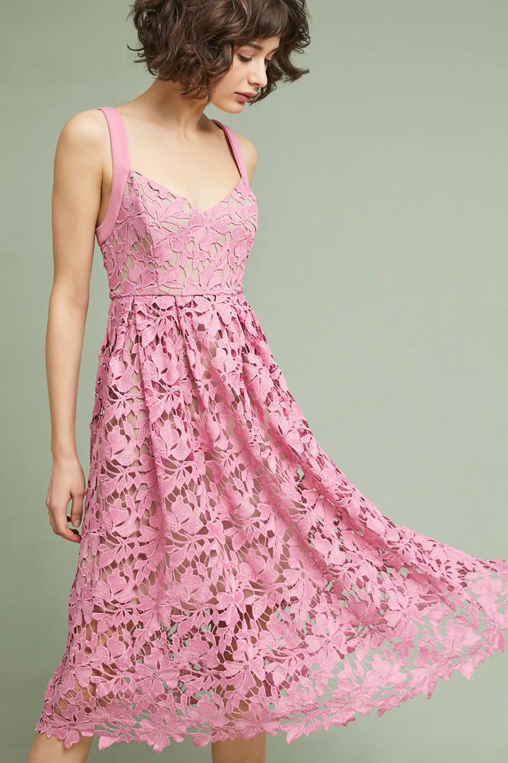 Donna Morgan Rosamund Lace Dress