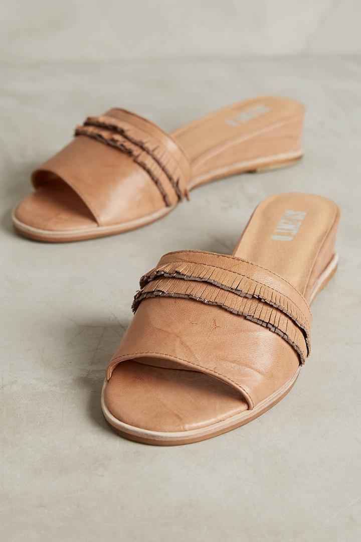 Silent D Fringed Micro-wedge Slides