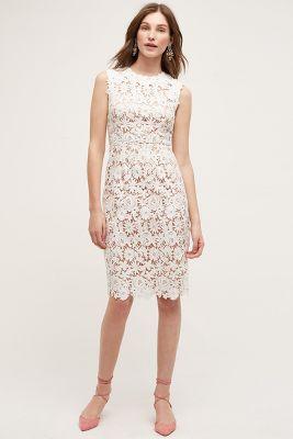 Hd In Paris Lace Garden Pencil Dress