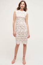 Hd In Paris Lace Garden Pencil Dress