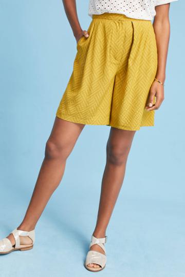 Seen Worn Kept Chevron Shorts