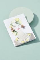 Zenzii Easy Breezy Earrings & Postcard