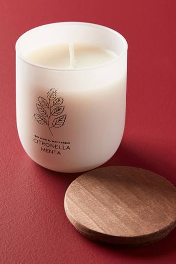 Cerabella Citronella Reed Diffuser