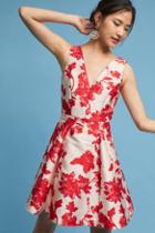 Eva Franco Rose Relief Dress