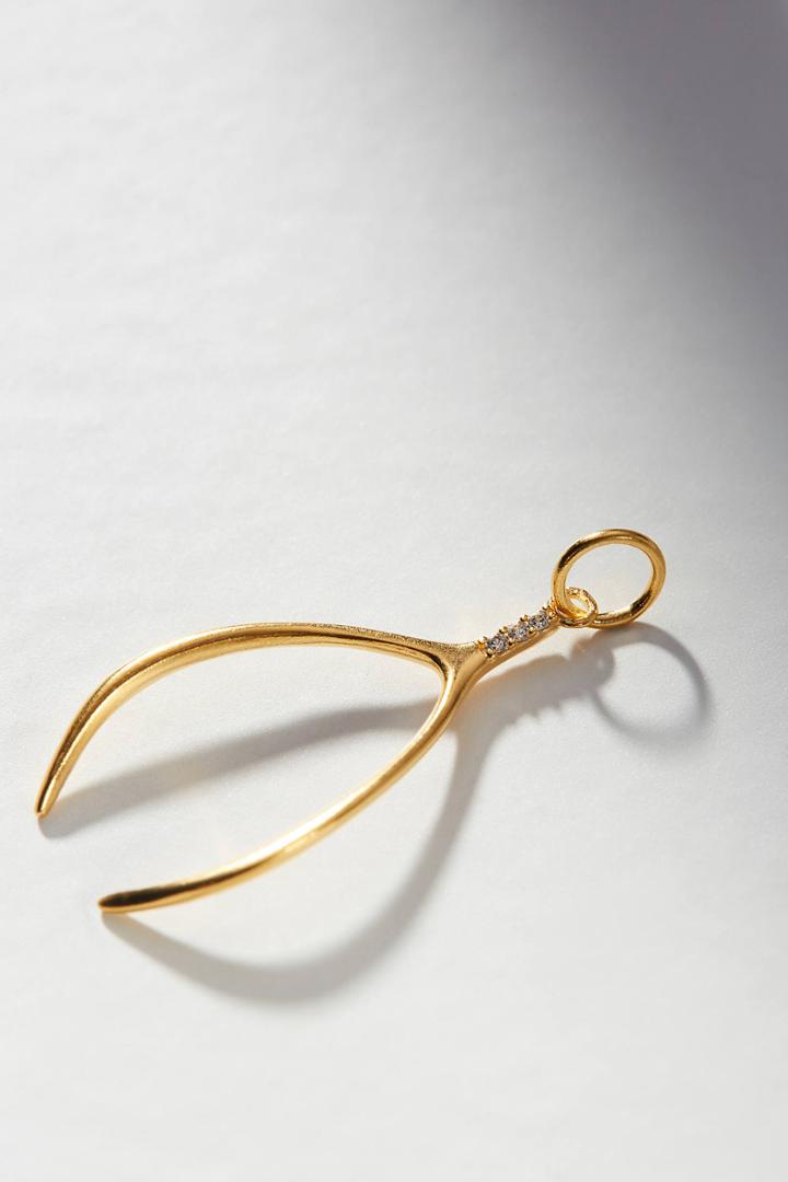 Anthropologie Wishbone Charm