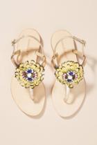 Emanuelle Vee Hibiscus Sandals