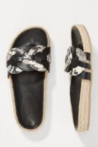 Seychelles Narrative Slide Sandals