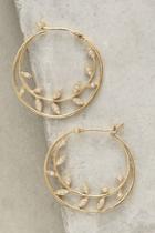 Anthropologie Tendresse Hoops