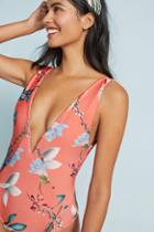 Salinas Floral One-piece Swimsuit