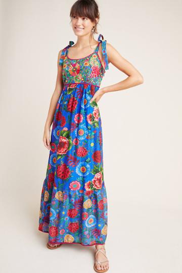 Payal Jain Cirque Embroidered Maxi Dress