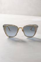Am Eyewear Sal Sunglasses