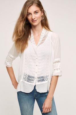 Burning Torch Laceflower Buttondown
