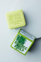 Kalastyle Spruce Soap