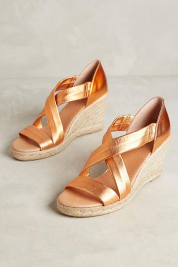 Pinaz Metallic Espadrilles