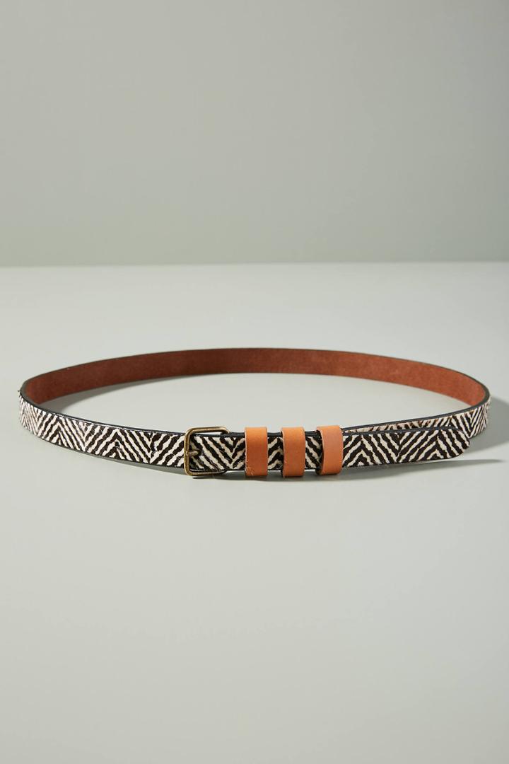 Anthropologie Steppe Belt