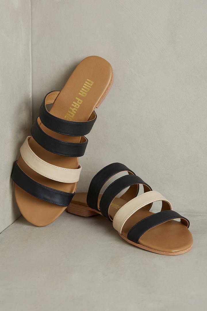 Nina Payne Netta Slides