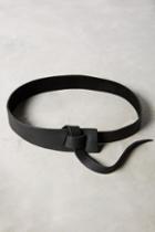 49 Square Miles Asymmetry Belt