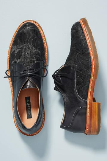 Neosens Concord Oxfords