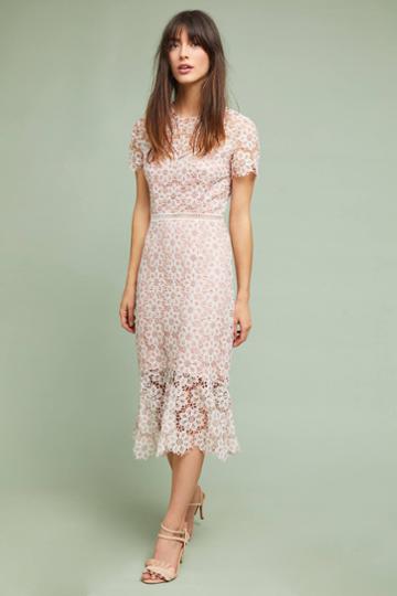 Saylor Nyc Ambrosina Lace Dress