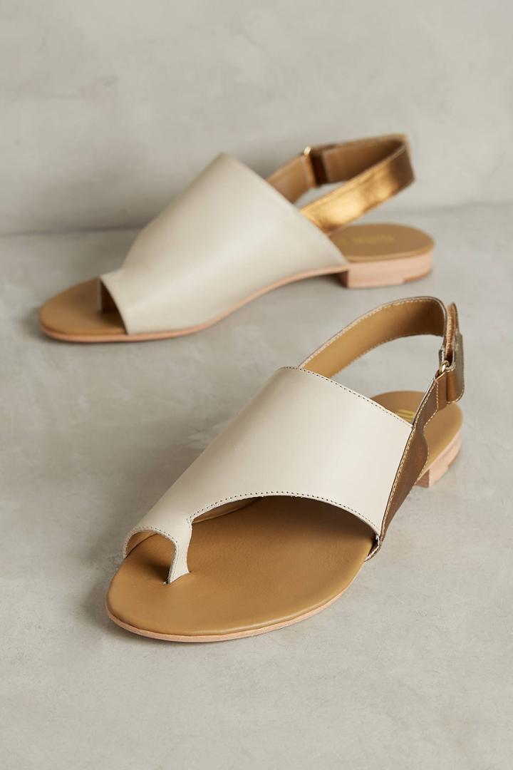 Nina Payne Desi Slides