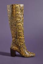 Dolce Vita Cormac Snake Knee-high Boots