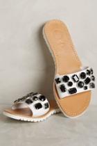 Gioseppo Gem Slides Black & White