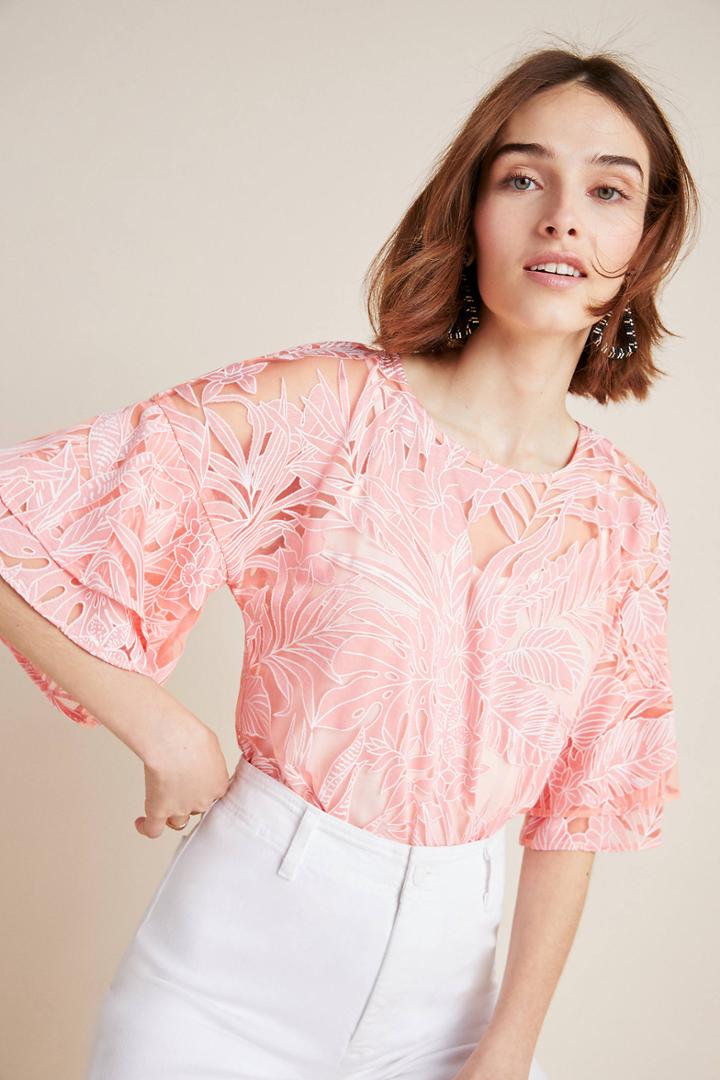 Eva Franco Fern Top