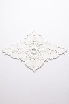Anthropologie Avignon Ceiling Medallion