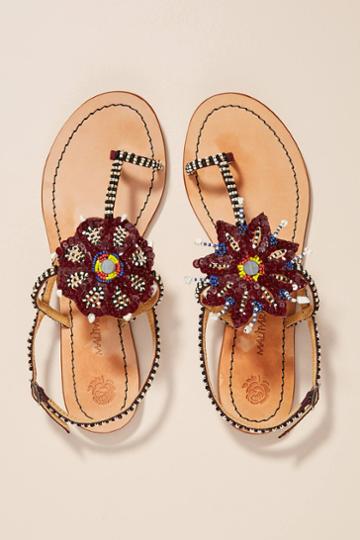 Maliparmi Beaded Sandals