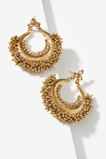 Blossom Box Acorn Hoop Earrings