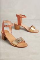 Sanchita Cleisto Heels