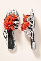 Cecelia New York Astra Sandals