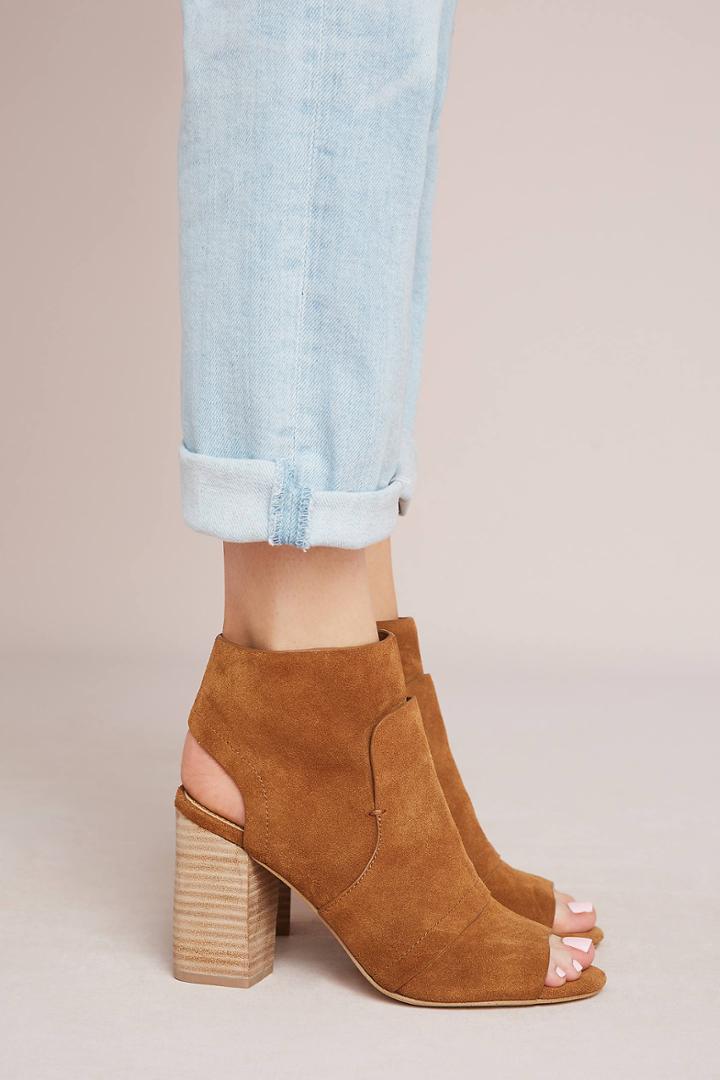 Splendid Darlene Shooties