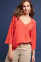 Moth Eastward V-neck Pullover