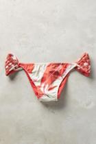 Clube Bossa Ruby Palm Bottoms Red Motif