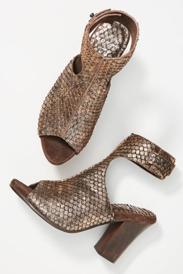 Calleen Cordero Pia Shooties