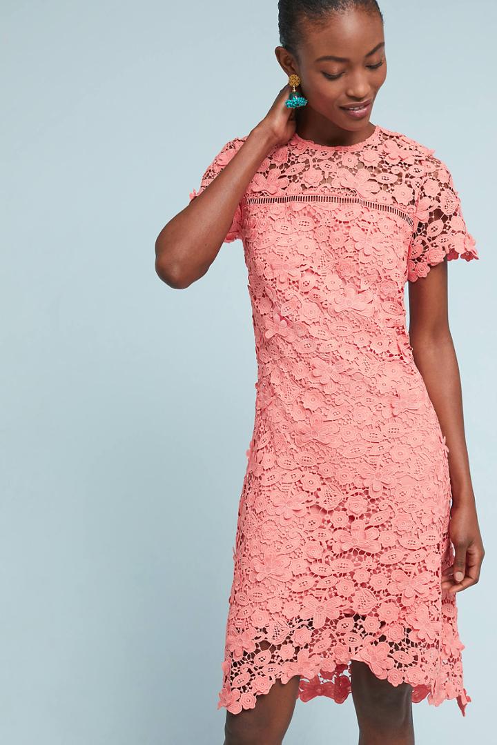 Shoshanna Laced Dahlia Dress