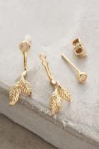 Anthropologie Masella Leaflet Earrings