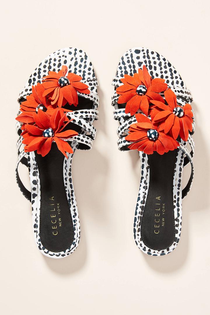 Anthropologie Cecelia New York Astra Sandals