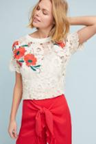 Dolan Left Coast Poppy Lace Top