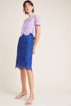Eri + Ali Graceanne Colorblocked Lace Dress