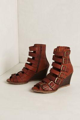 67 Collection Ladder Wedges
